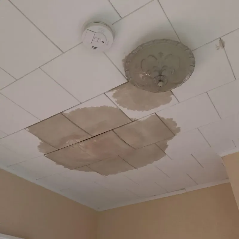 Ceiling Water Damage Repair in Vienna Bend, LA