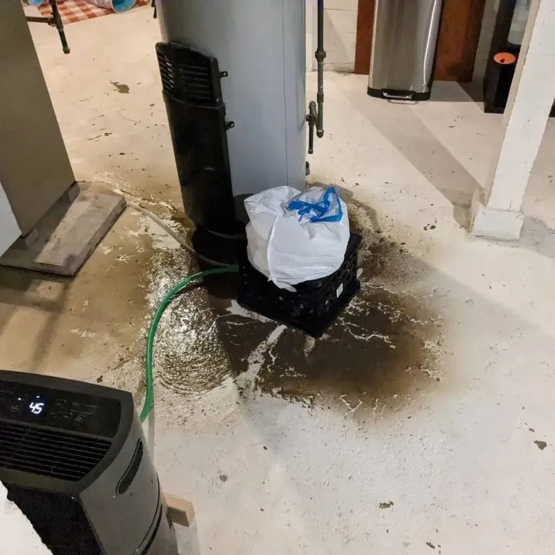 Sewage Backup Cleanup Service in Vienna Bend, LA
